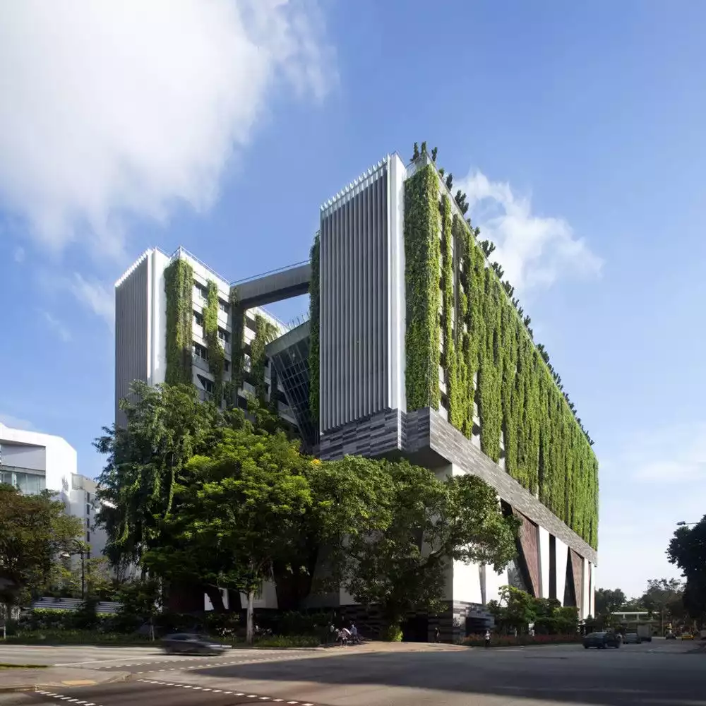 School of the Arts Building with Green walls