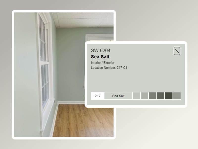 Sea Salt (SW 6204) from Sherwin Williams
