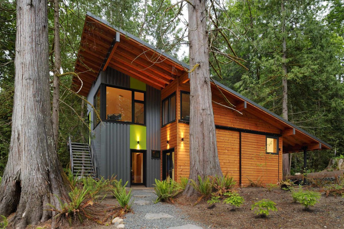 Shed Roof on a House in the Woods