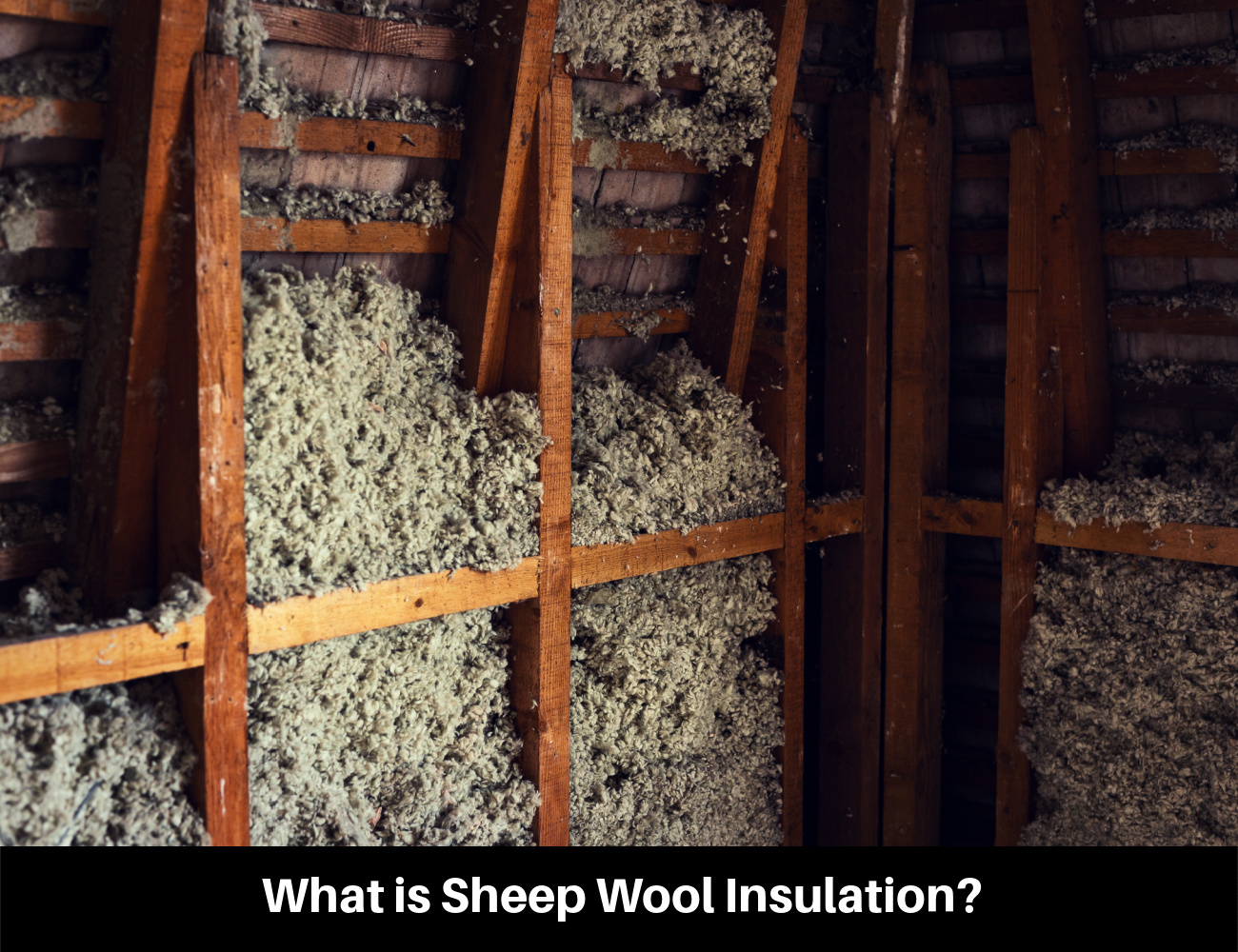 What is Sheep Wool Insulation?