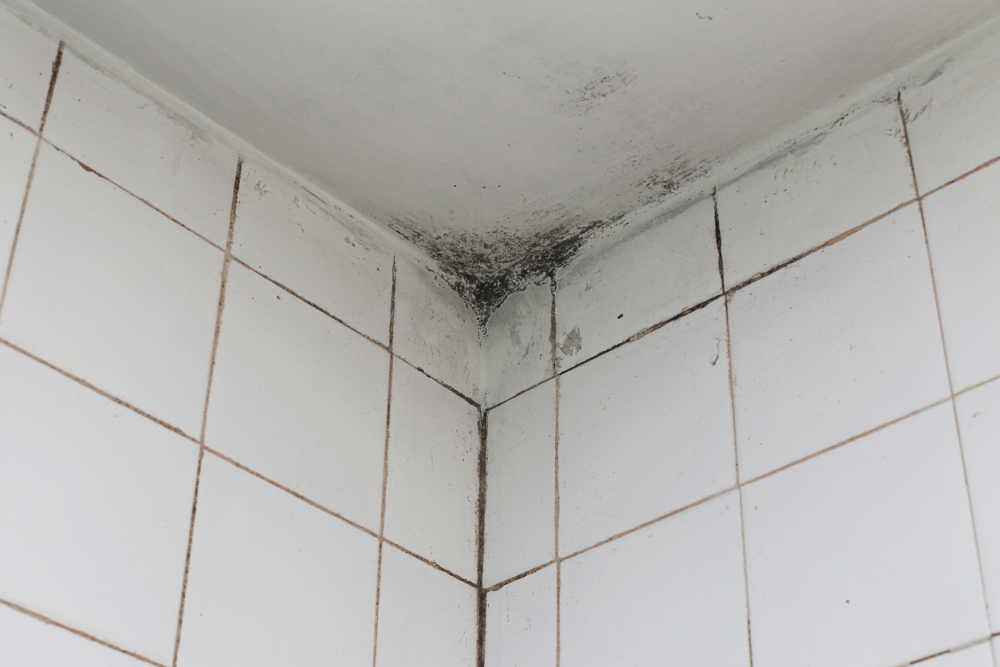 How To Prevent Mold Growth On Bathroom Ceiling 