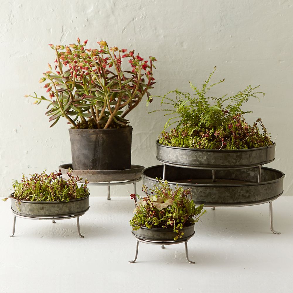 Silver Footed Low Plant Stand