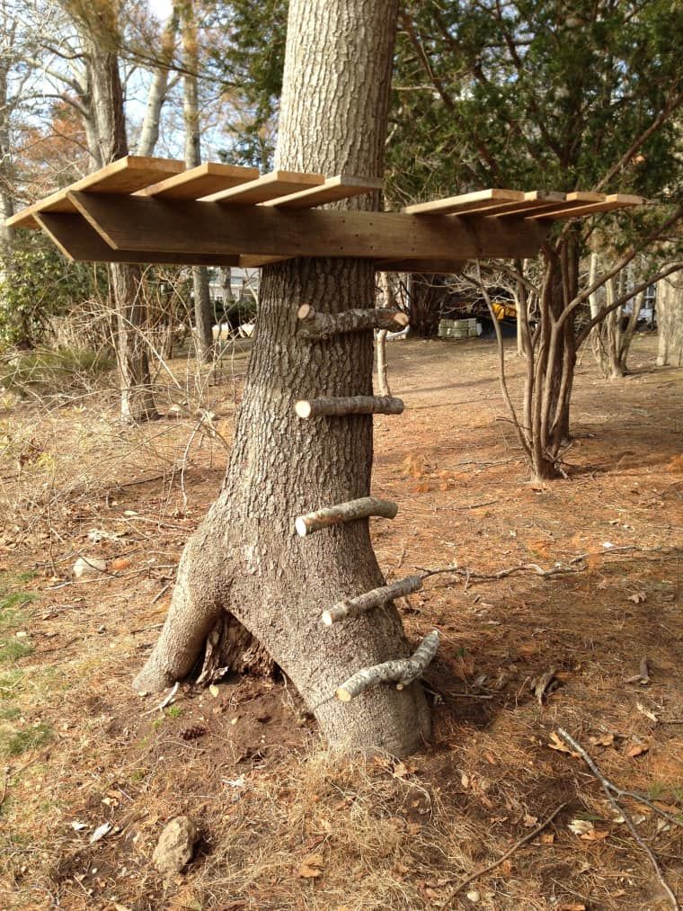 A cool idea for a treehouse ladder