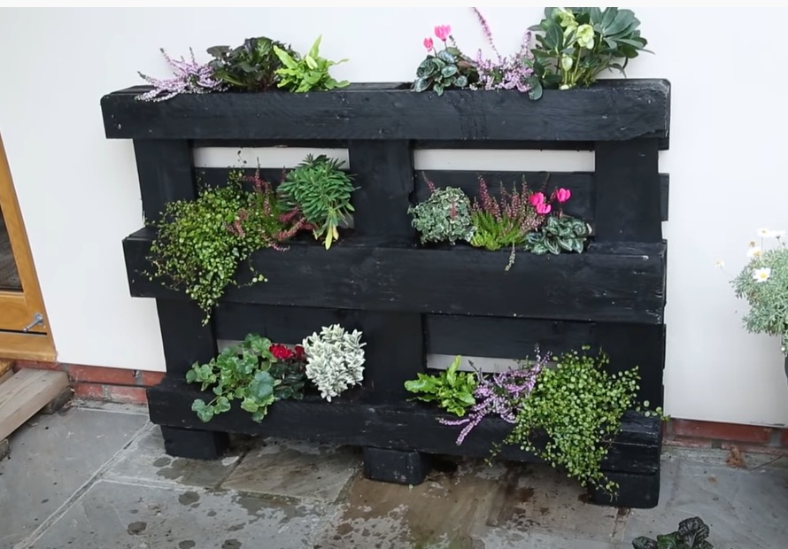 A Video Tutorial for a Basic Pallet Planter