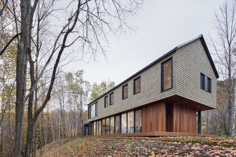 Simple forest house with cedar siding