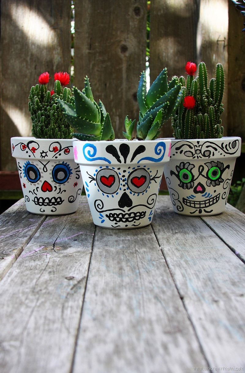 Skull painted planters