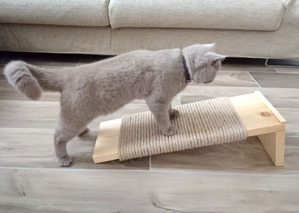 DIY furniture cat scratcher