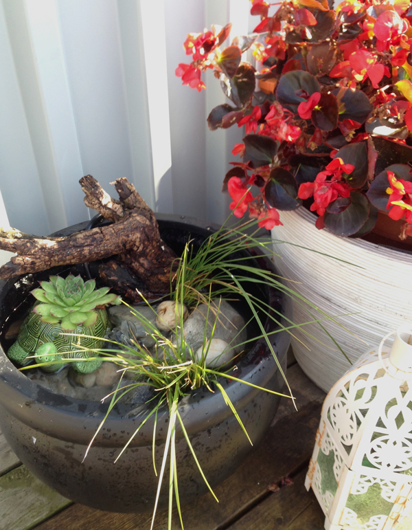 Small fairy garden feature in a pot