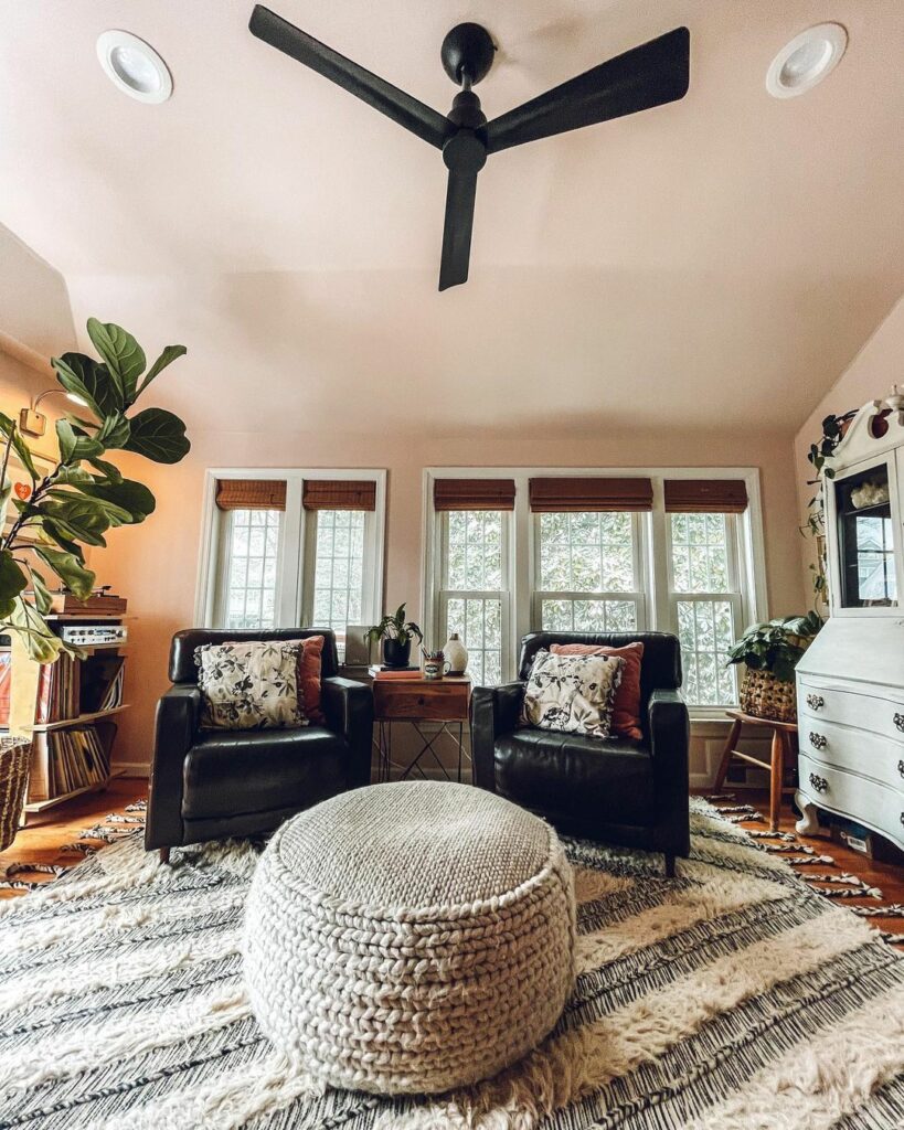 Soft Living Room Color