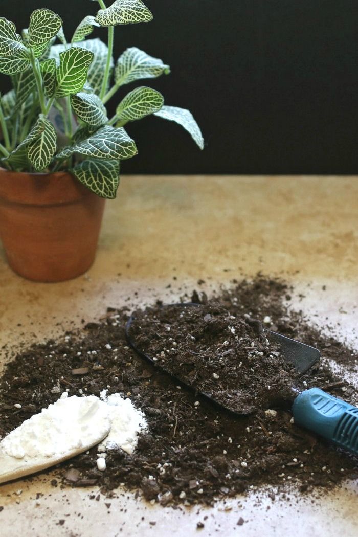 Soil and baking soda