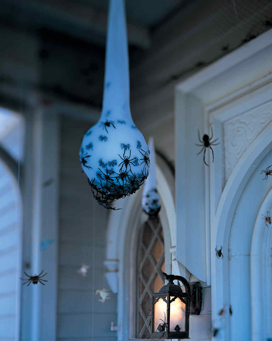 Spider eggs on the porch hanging