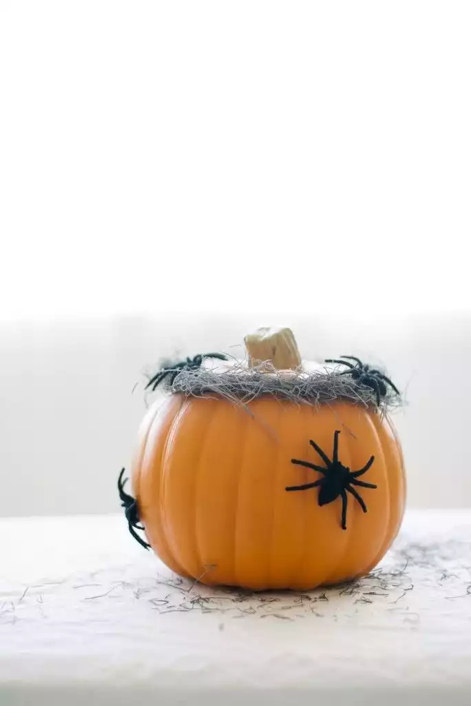 Spinder pumpkin