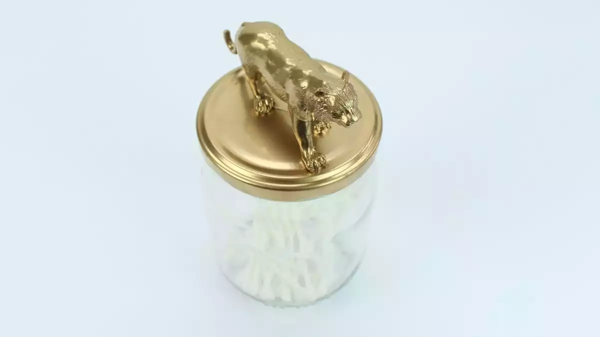 Sprayed-animal-on-top-of-container