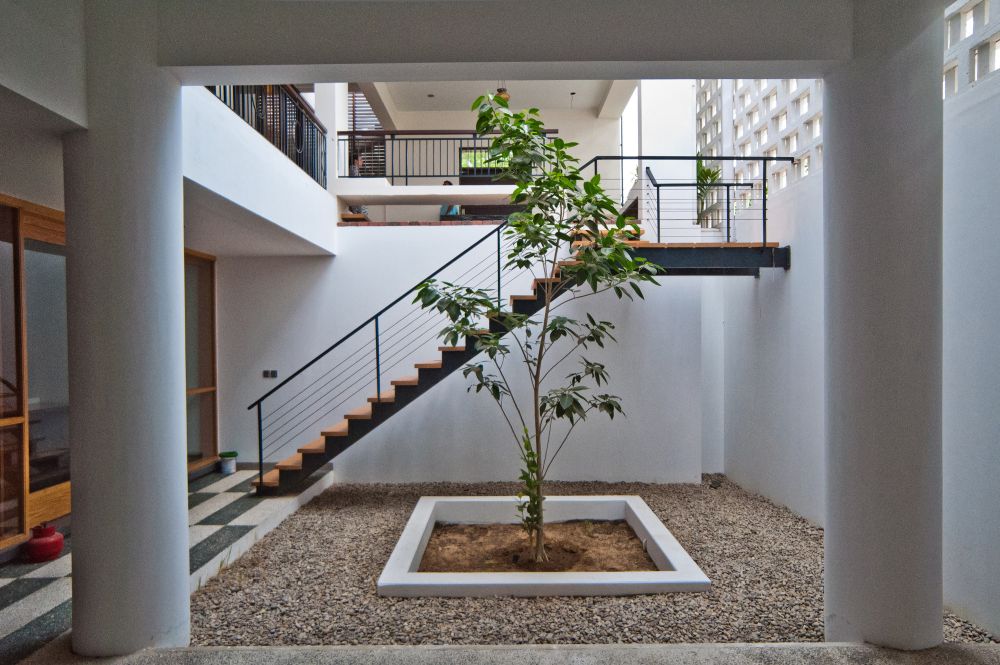 Staircase Courtyard Tree