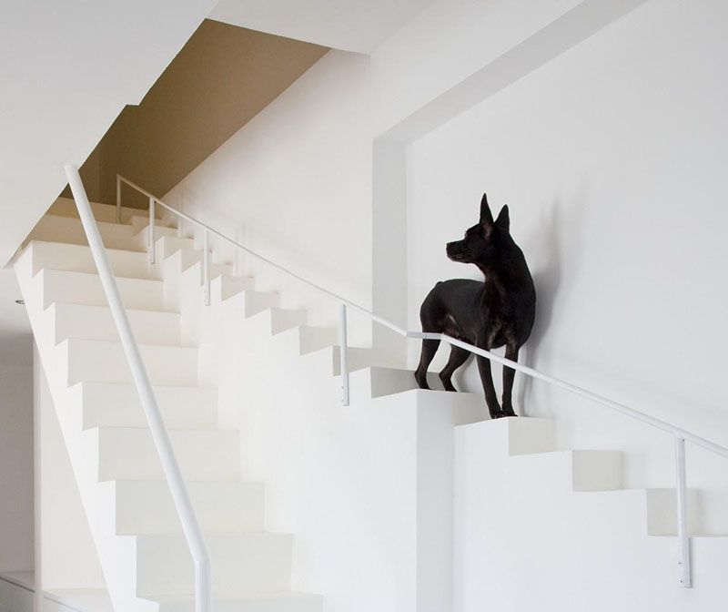 Stairs designed for pets