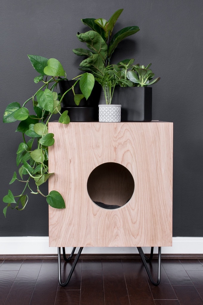 Stunning Cat House Side Table