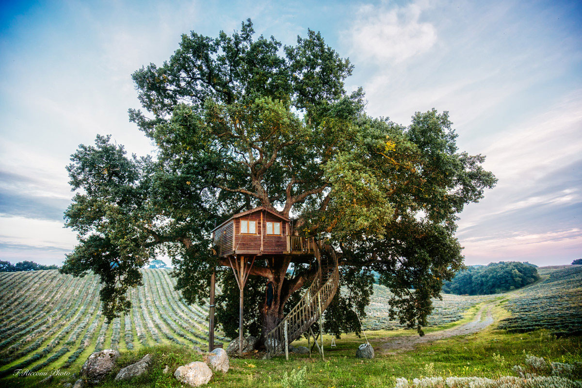 Stunning tree house