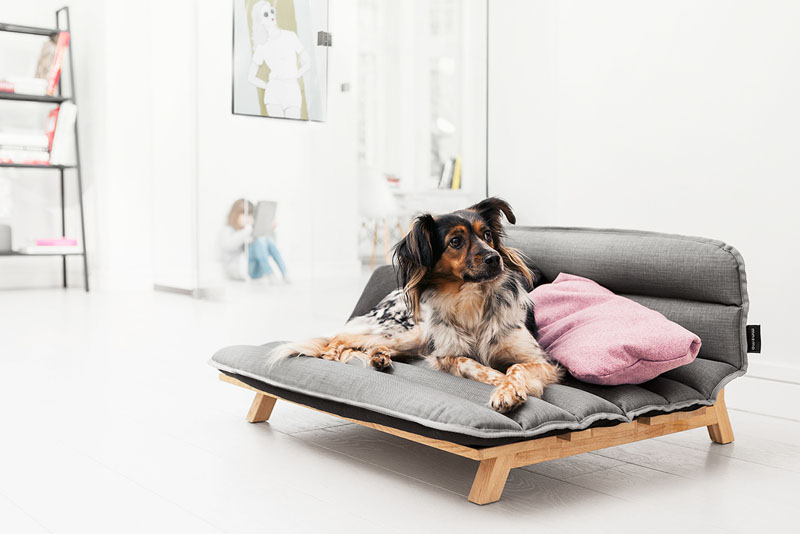 Stylish dog bed sofa