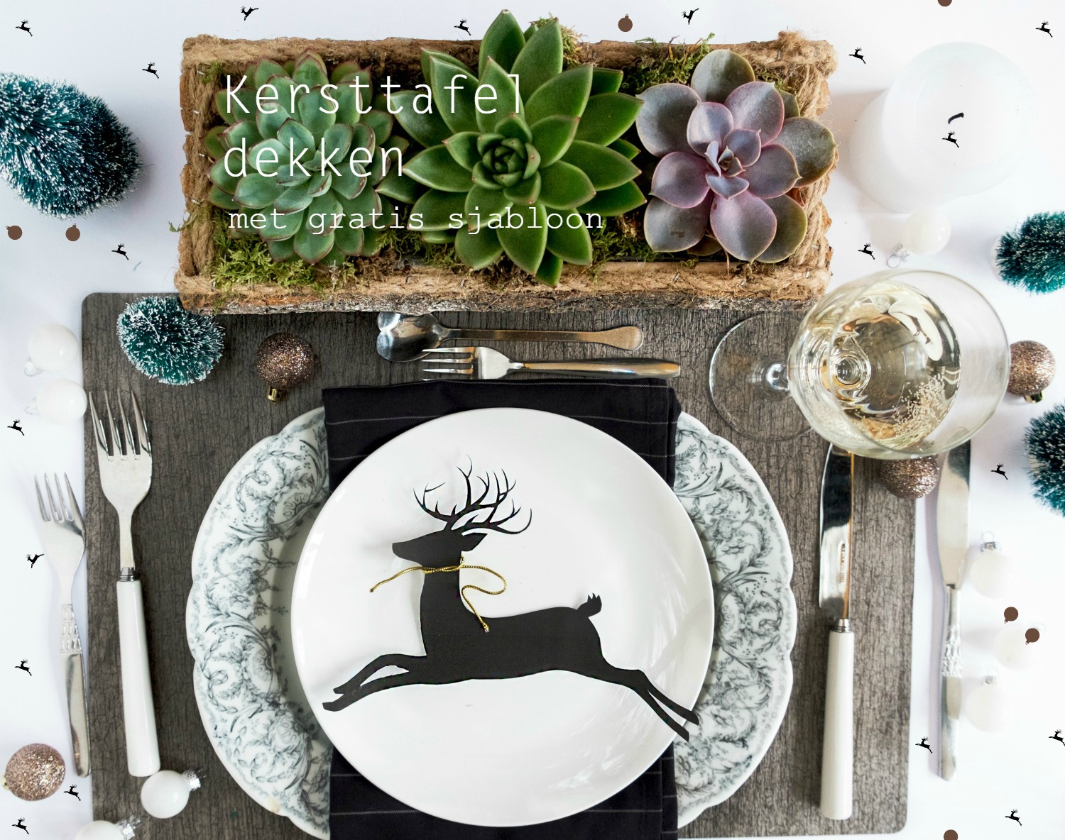 Succulent Christmas Table Decor