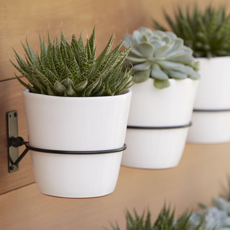 Succulent wall planter