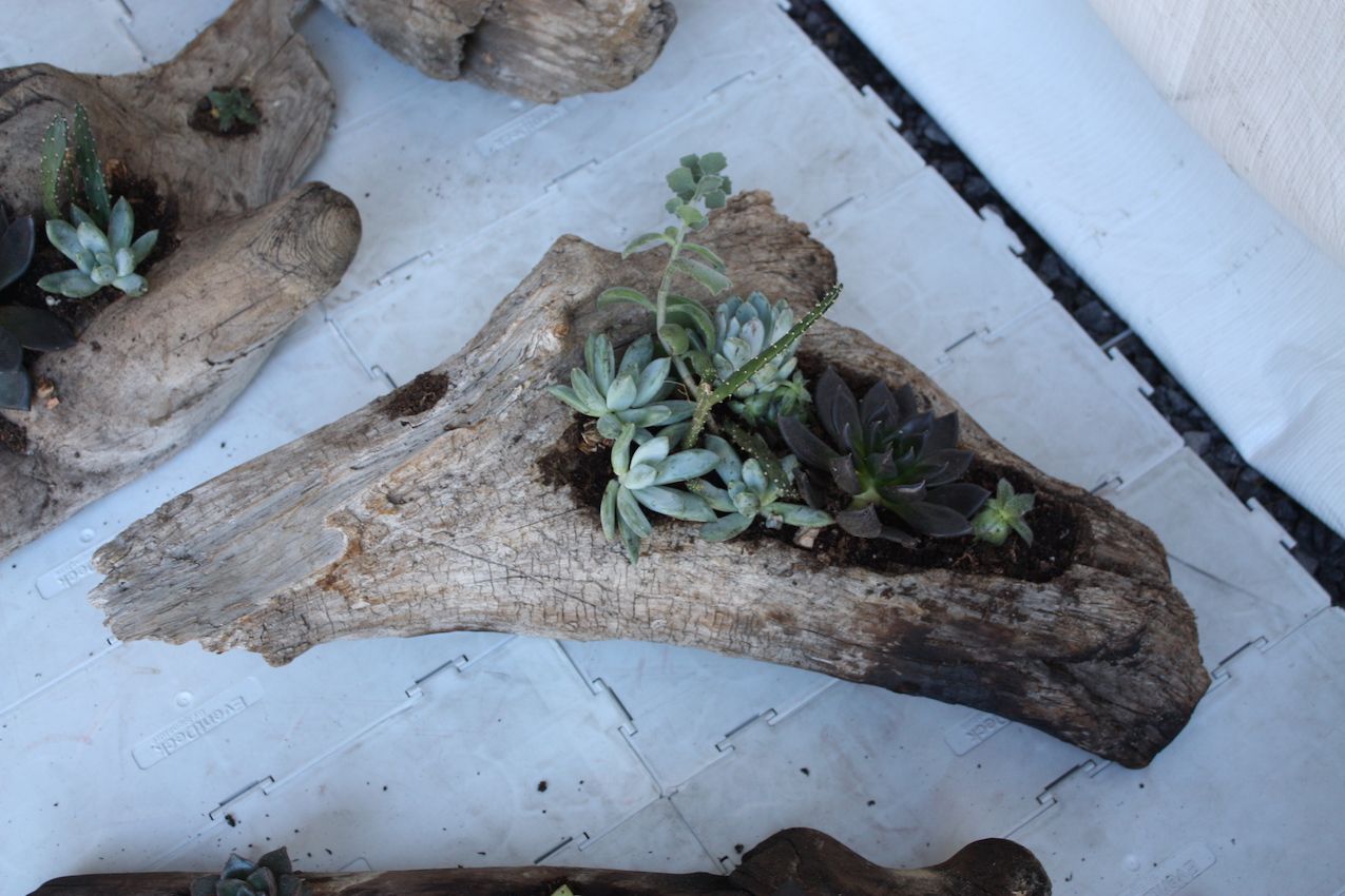 A natural wood planter, like this one by Jim Szymanski, is organic as well as rustic.