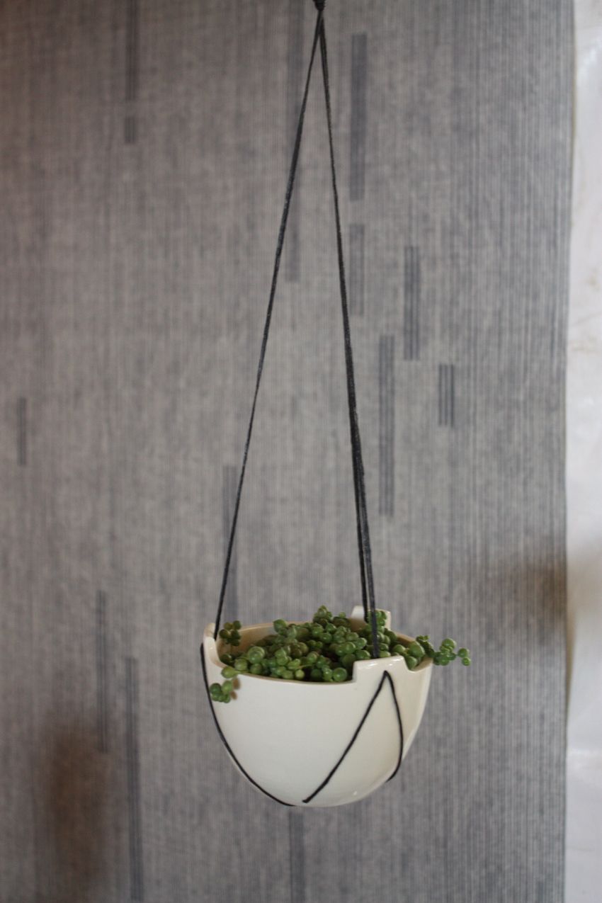 This is a modern version of the typical hanging planter.