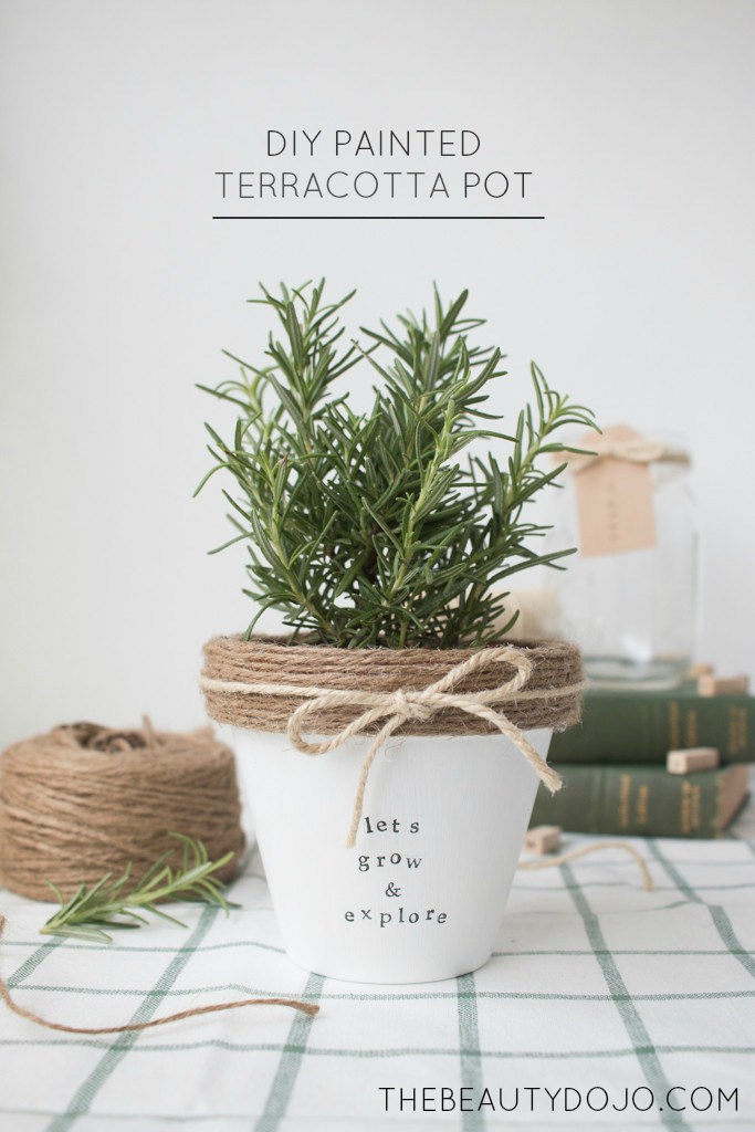 Terracotta painted pot with twine