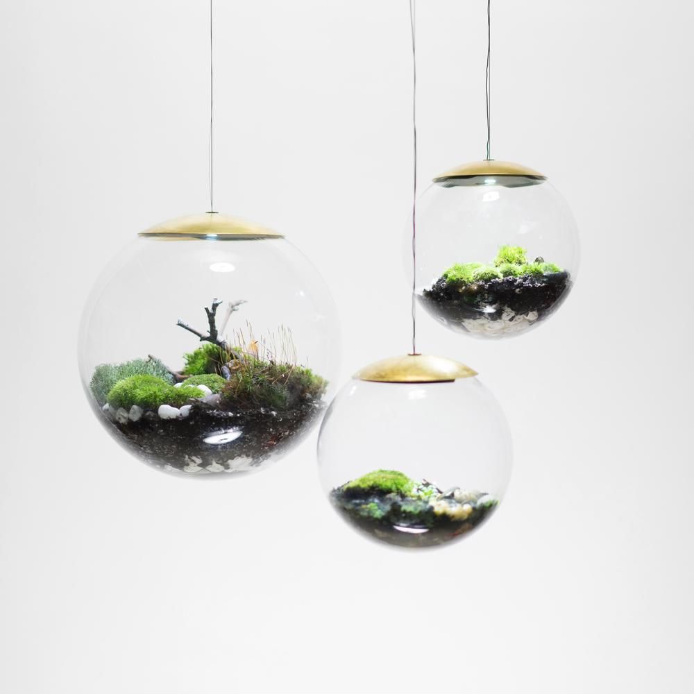 Terrarium hanging lamps