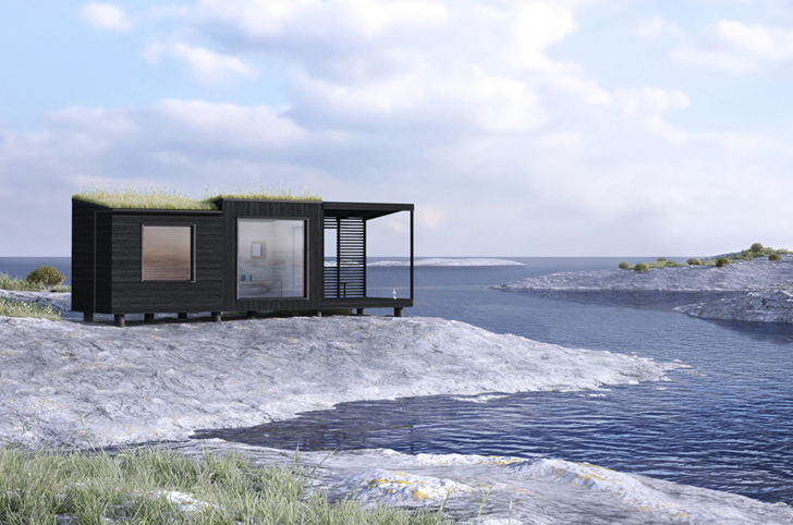 Tiny Green-Roofed Arjan Sauna design
