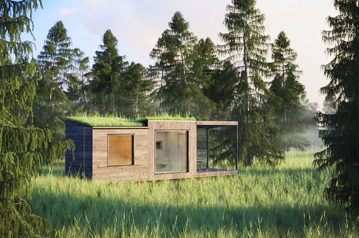 Tiny Green-Roofed Arjan Sauna