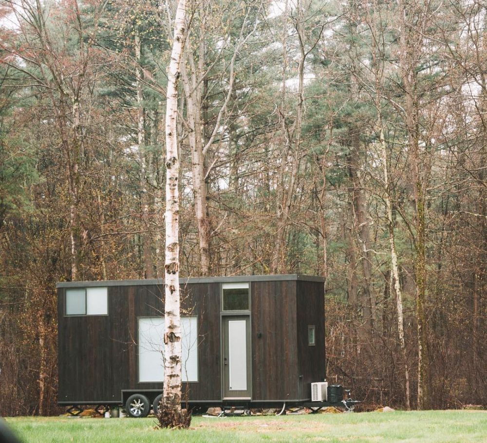 A Tiny House On Wheels full Of Hanging Plants And Cozy Vibes