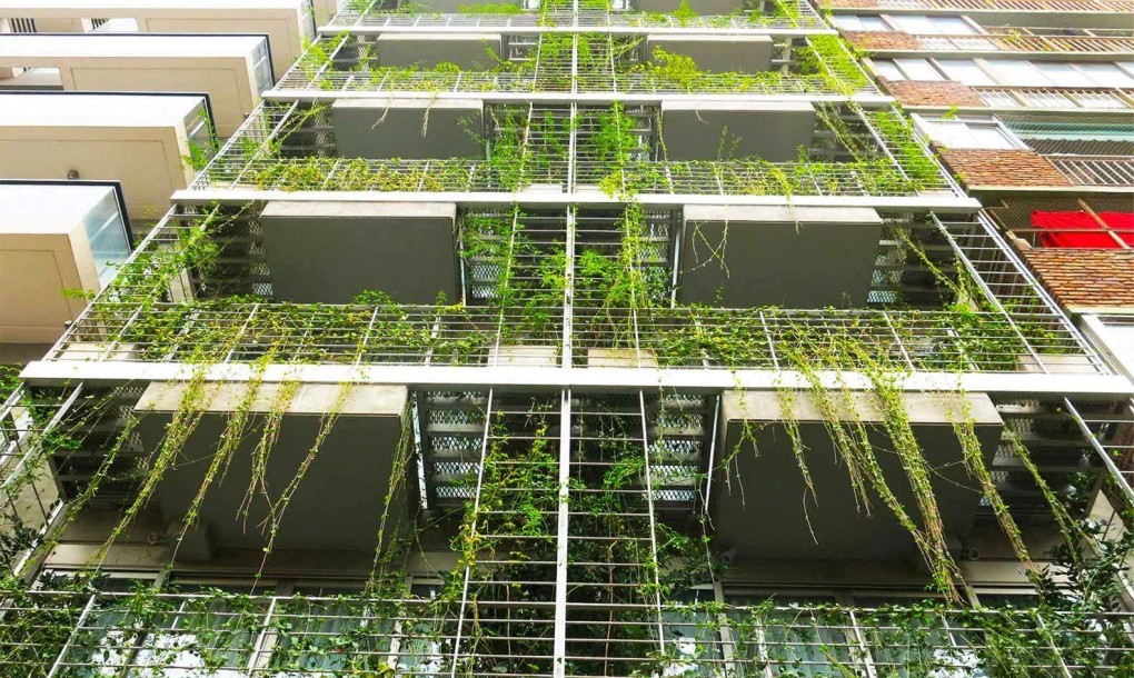 Top Mario Cito LEED Seeking Palo Santo Hotel Buenos Aires
