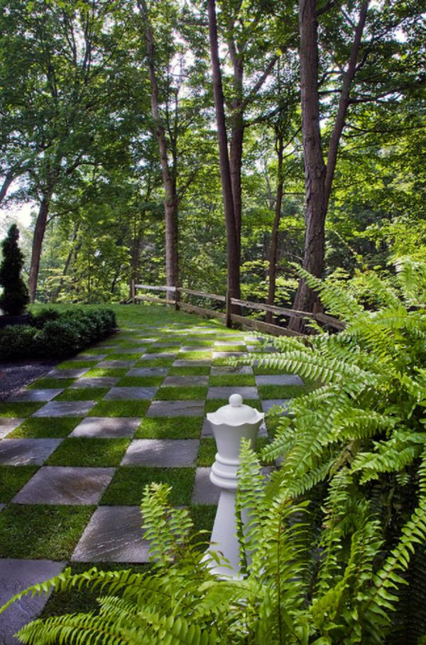 Best Grass That Grows In Shade With Lawn Care Tips