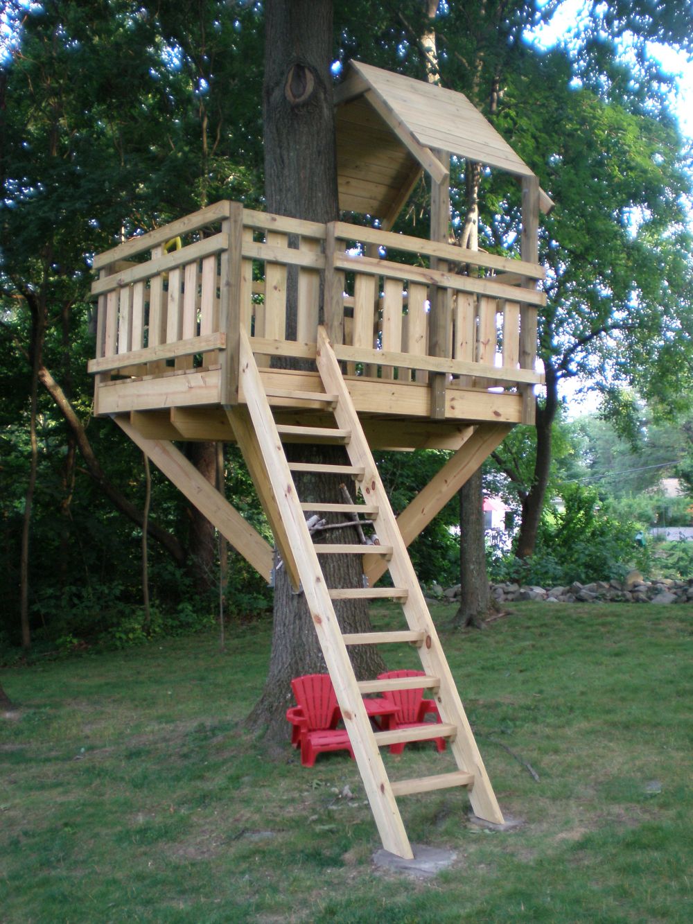 Small and basic treehouse with an access ladder