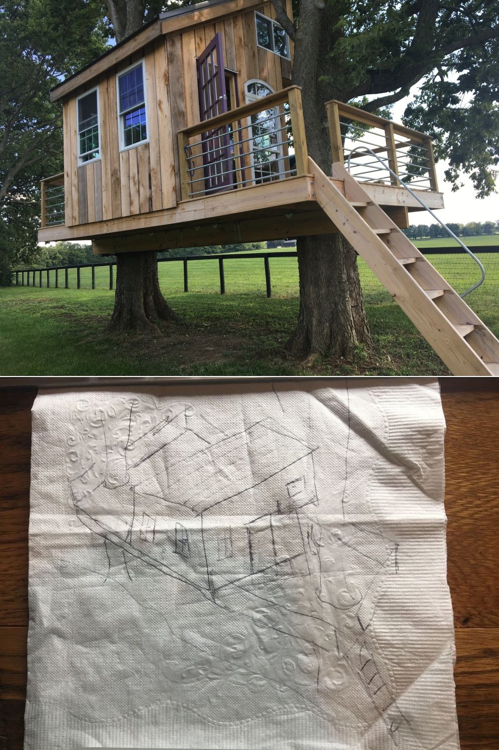 Solid treehouse wrapped around the trunks