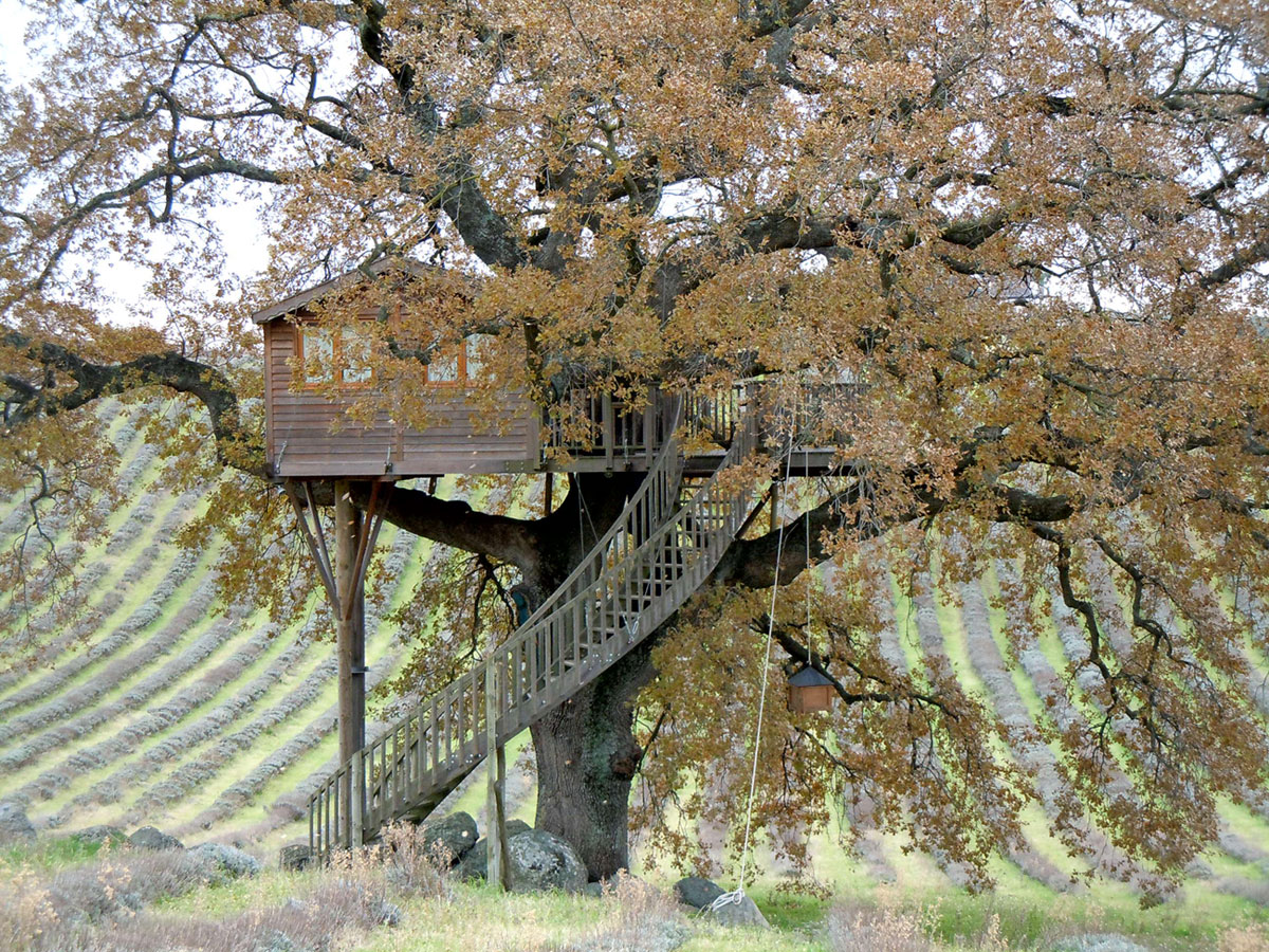 Treehouse design plans