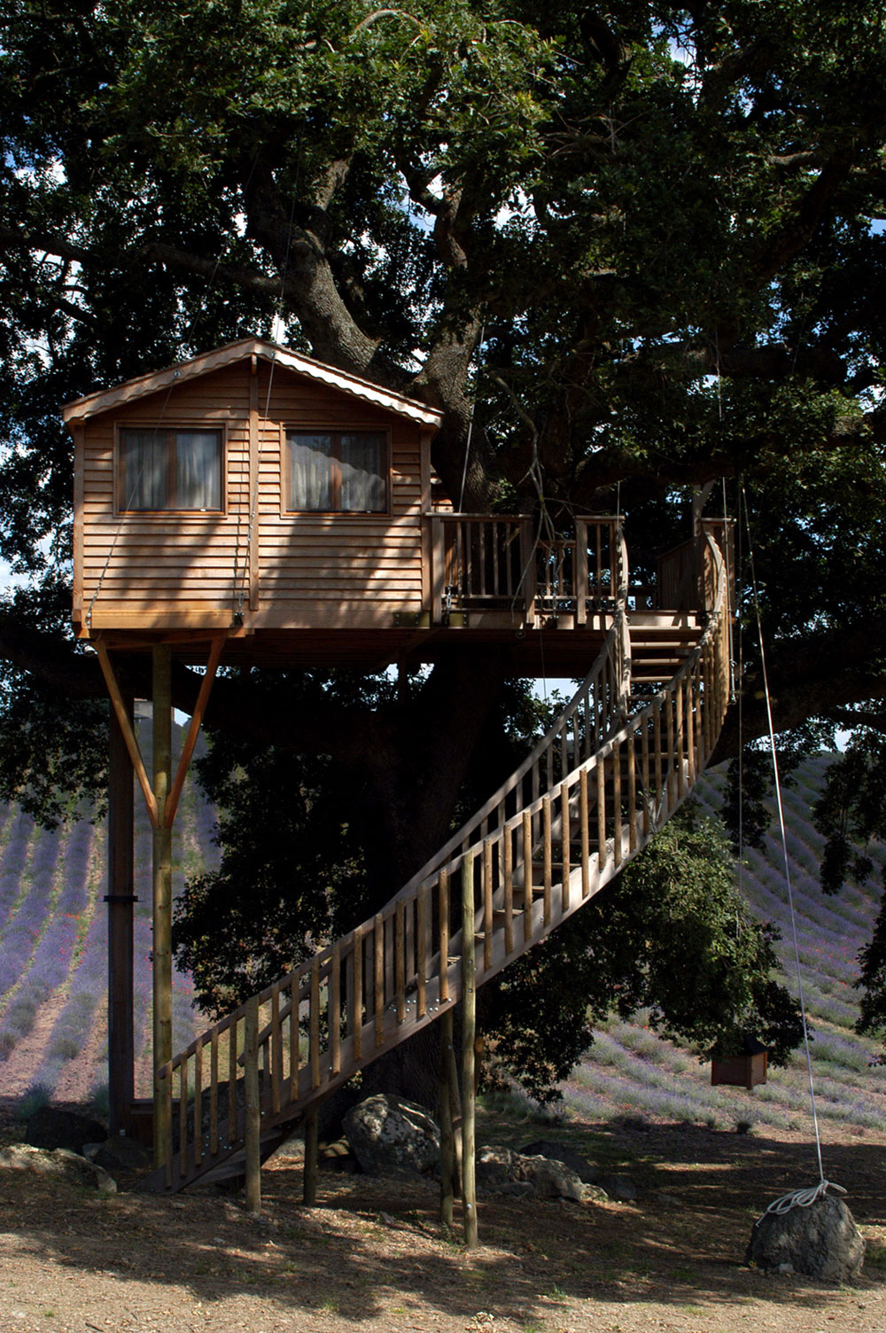 Treehouse picture in nature