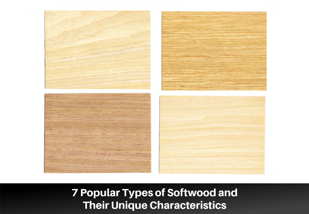 7 Popular Types of Softwood and Their Unique Characteristics 