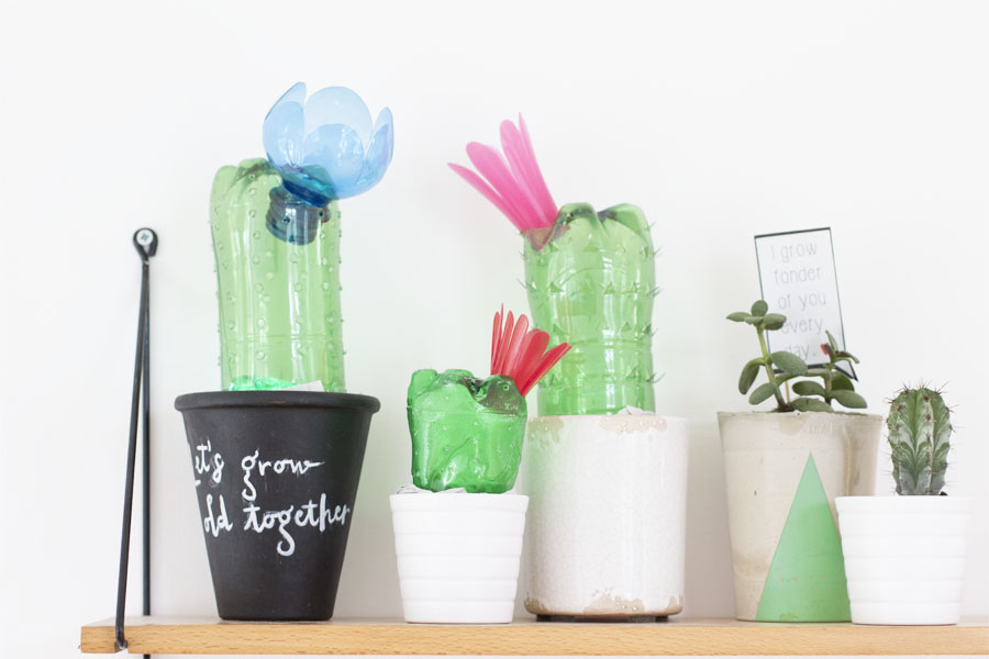 Upcycled plastic bottles cacti