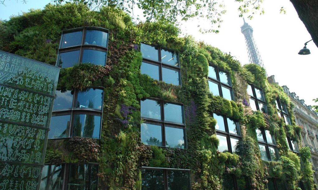 Urban Paris Garden Facade House