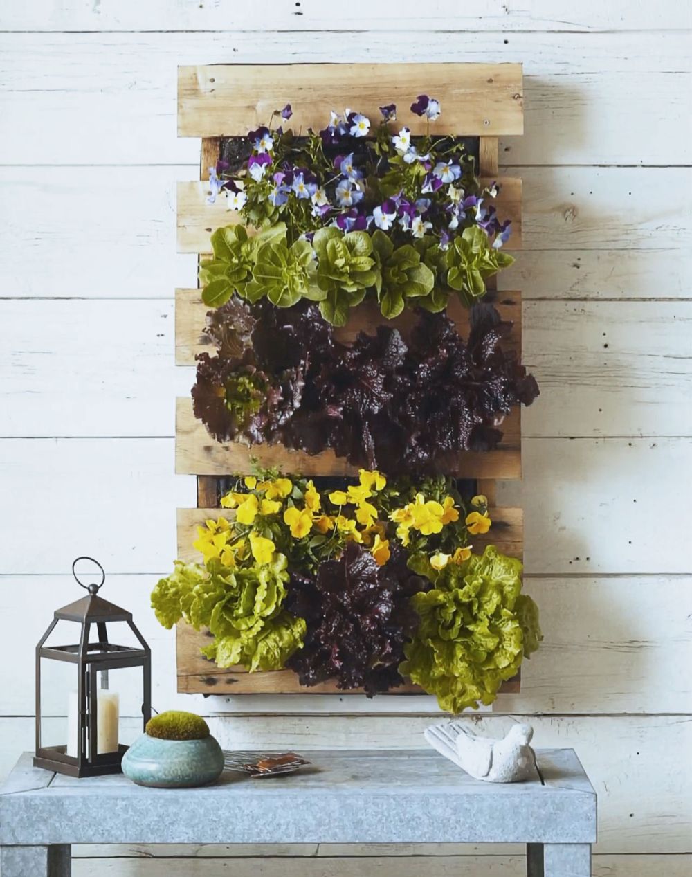 A Hanging Wall Pallet Planter