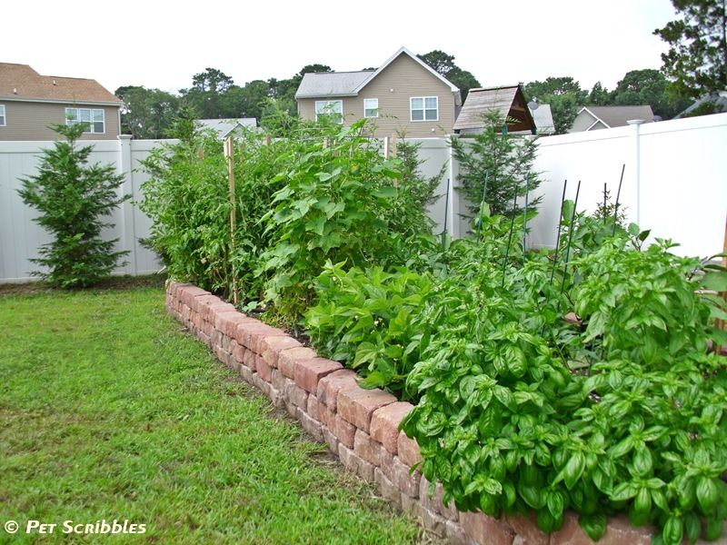 Vegetable raised garden bed from bricks