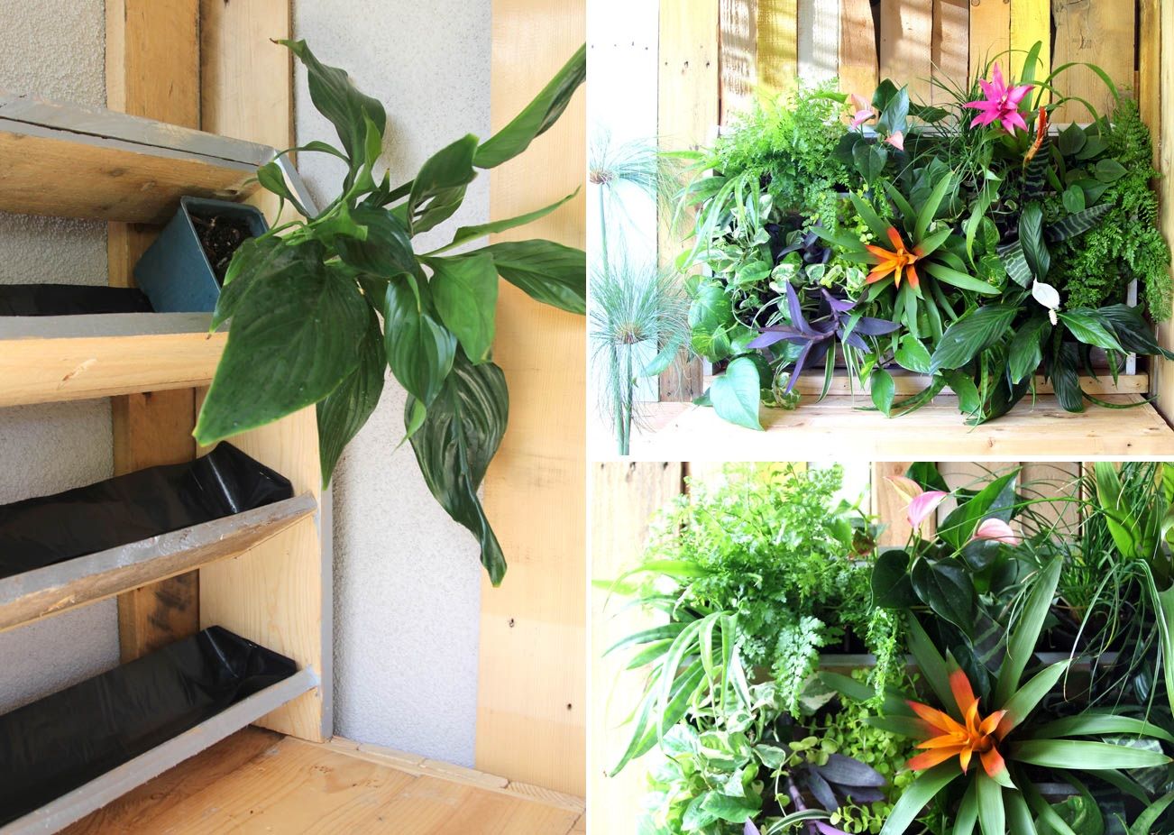 Create a Shelving Unit for Your Potted Plants