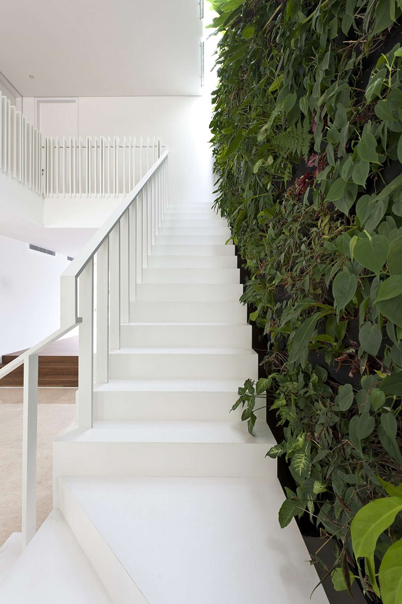 Vertical garden for staircase wall