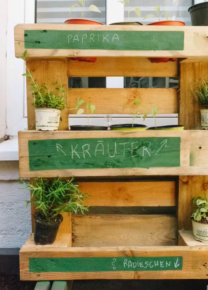 DIY vertical herb garden