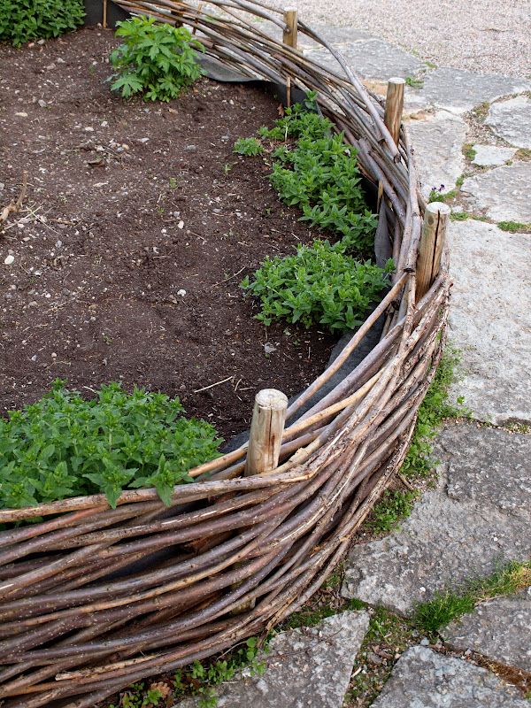 Vineyard garden bed