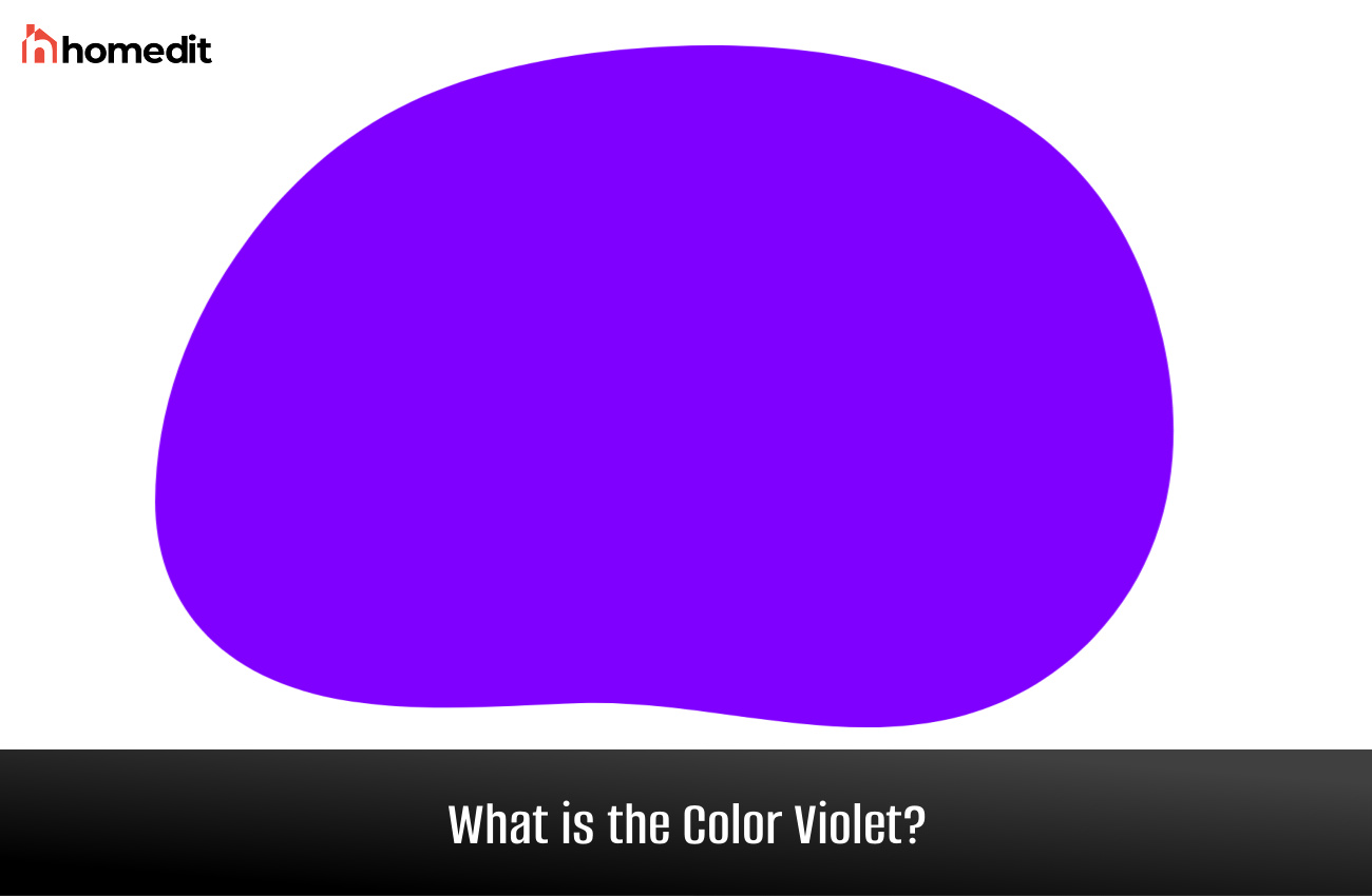 Violet Colors Enhance the Distinction of Your Home