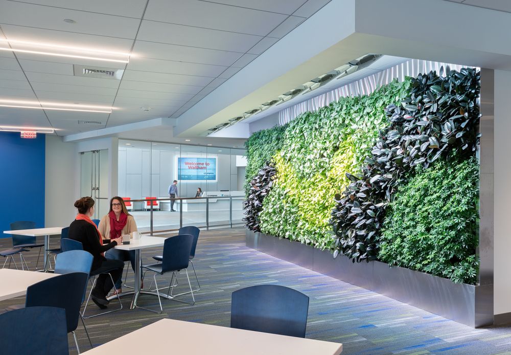 Vistaprint Cimpress Offices – Waltham with the vertical Garden