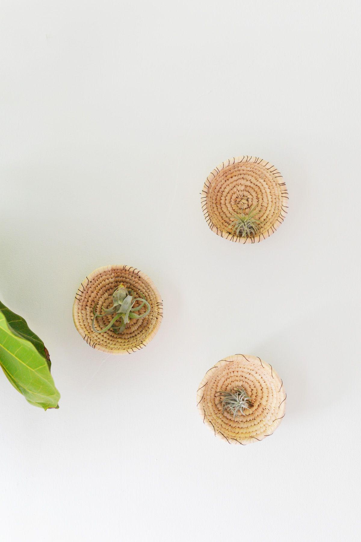 Wall Basket Planters