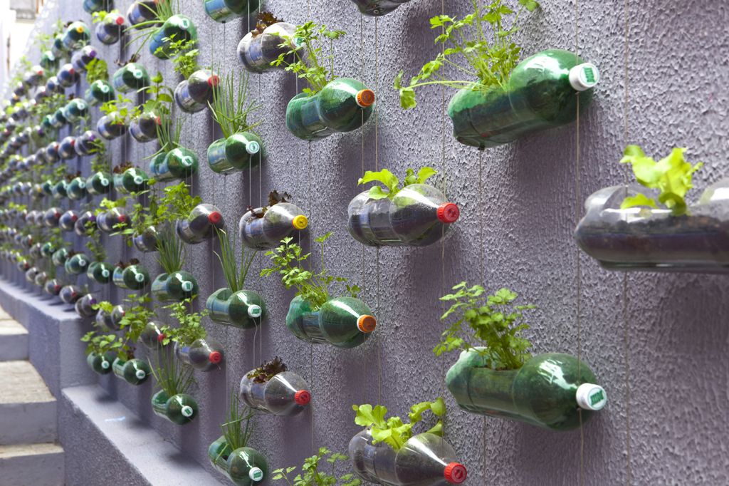 Wall vertical planter from bottles